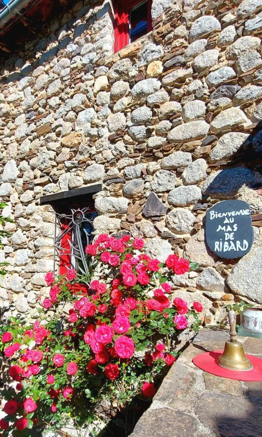 Le Mas De Ribard Bréau-et-Salagosse Exterior foto